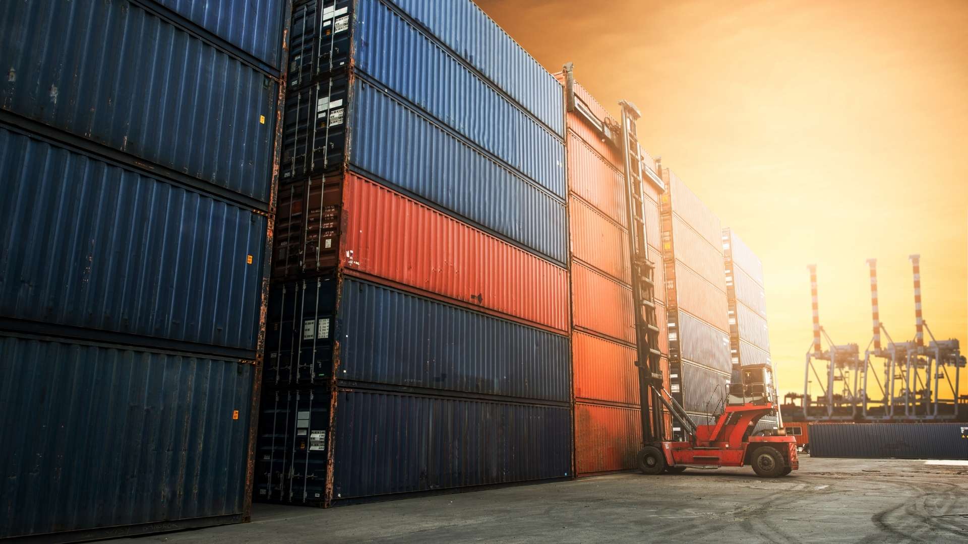 Global Ticaret ve İşbirliği